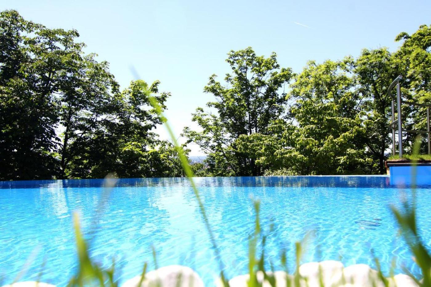 Villa Via Lapis - Panoramablick Ueber Dresden - Garten - Pool - Sauna - Luxus Exterior photo